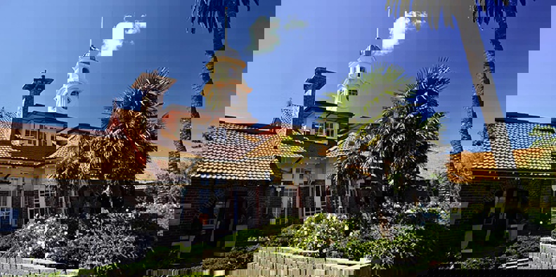 Auckland's Manukau Institute of Technology. Photo / File