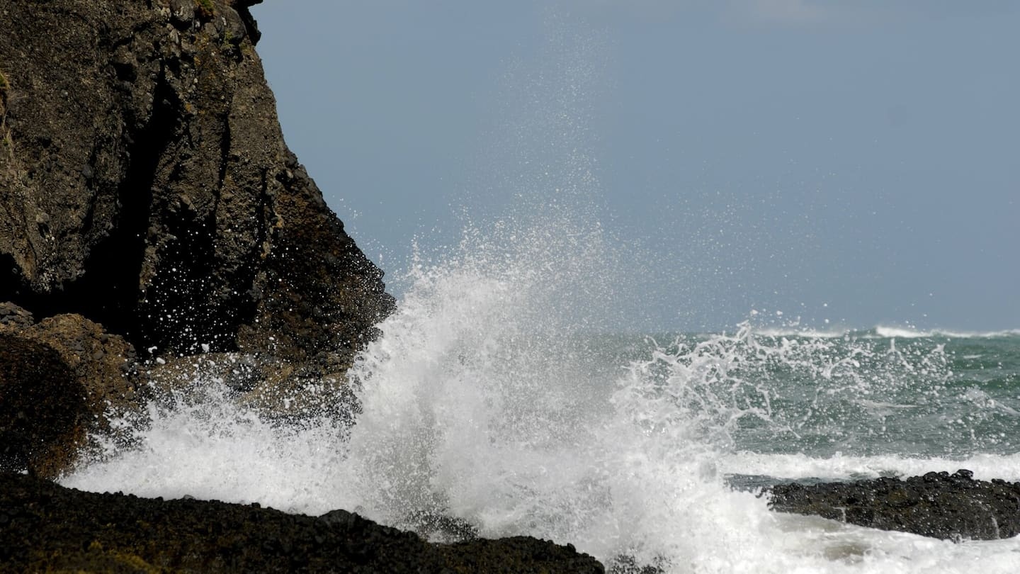 Restaurant owner died after being swept from rocks while fishing