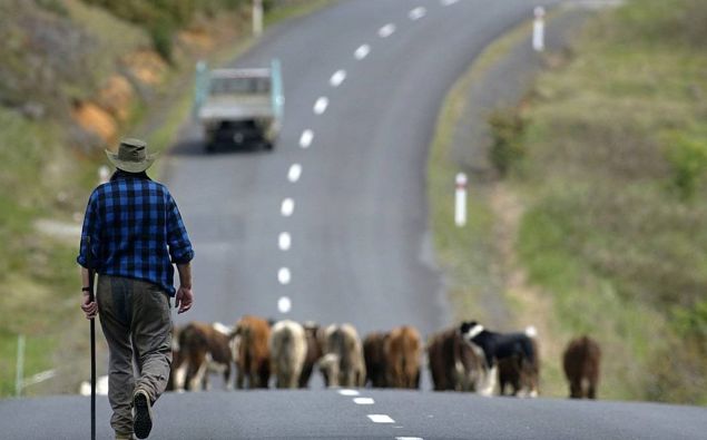 (Photo / NZ Herald)