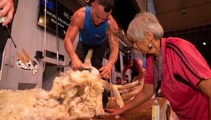Shearing sports’ big weekend: Results from the six shows in three days