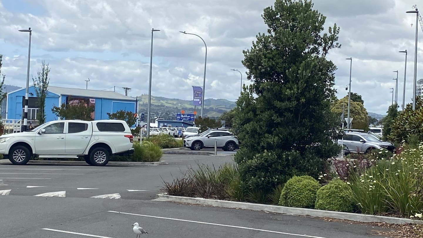 Bystanders praised after alleged rock-throwing incident