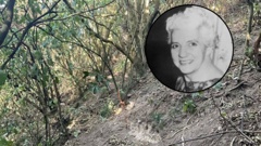 Patricia Burt's remains were found on this steep slope under dense undergrowth, which has since been cleared so her skeleton could be removed.