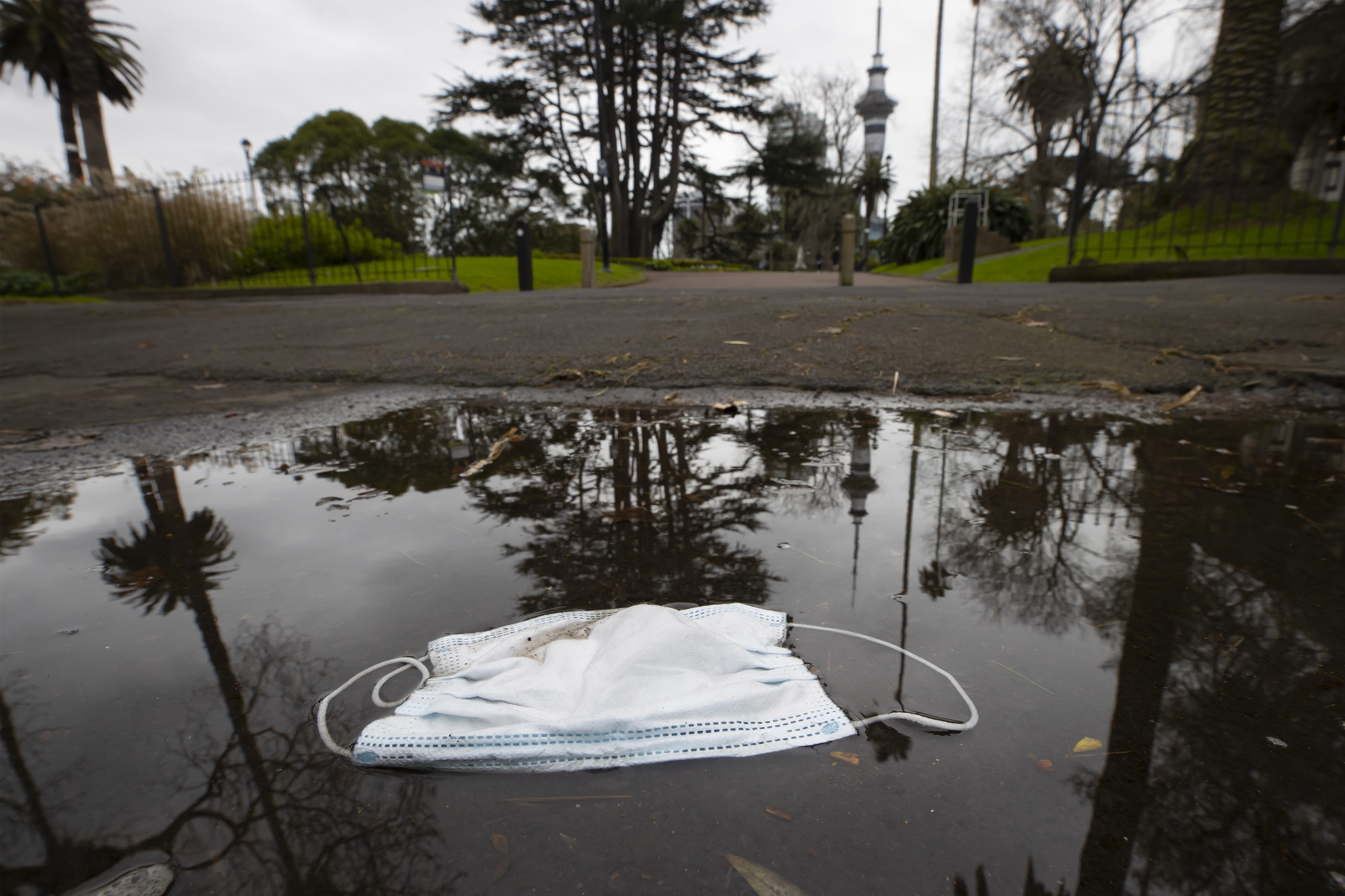 (Photo / Brett Phibbs)