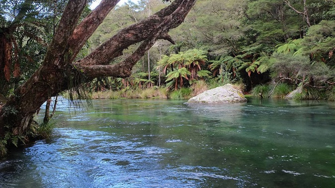Tarawera River. Photo / NZH