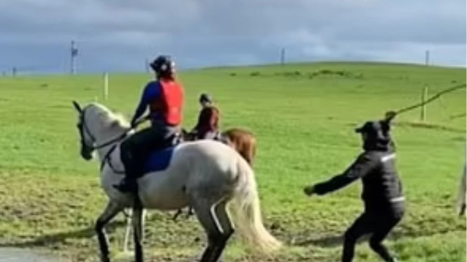 Video footage, which is believed to be two years old and has now resurfaced on social media, allegedly shows Sir Mark Todd repeatedly smacking a horse with a stick. Photo / Tik Tok.