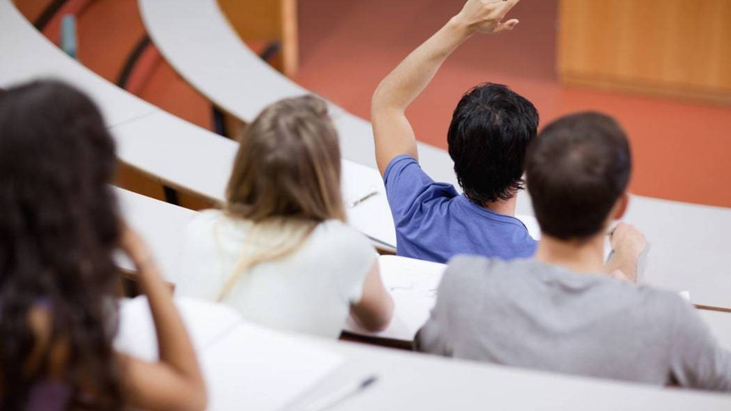 The OECD's annual report on education warns too many young people in developed countries may be enrolling in degrees. Photo / RNZ]