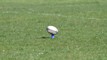 Ngane Punivai: Canterbury winger speaks ahead of NPC final