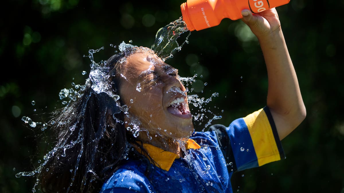 Heat alert issued as North Island east coast swelters above 30C, Akl sweats in 93% humidity