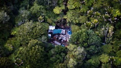 Exploratory drilling by gold mining company OceanaGold has found billions' worth of gold underneath Wharekirauponga Forest, which is conservation land at the foot of the Coromandel Peninsula. The company wants to tunnel underneath the DoC land to reach it. Photo / Mike Scott