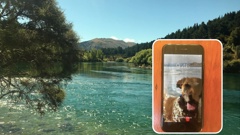 The story of a phone lost in the river, a dearly missed dog - and a whole lot of luck. (Photo / Supplied)