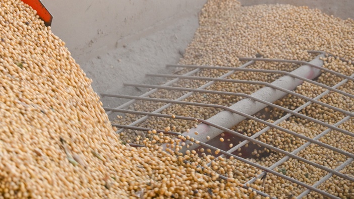 Soybeans are moved from a grain cart into a grain bin during a harvest at a farm in Trenton, Missouri, US, on Thursday, Oct. 9, 2025. Photo / Clayton Steward/Bloomberg via Getty Images