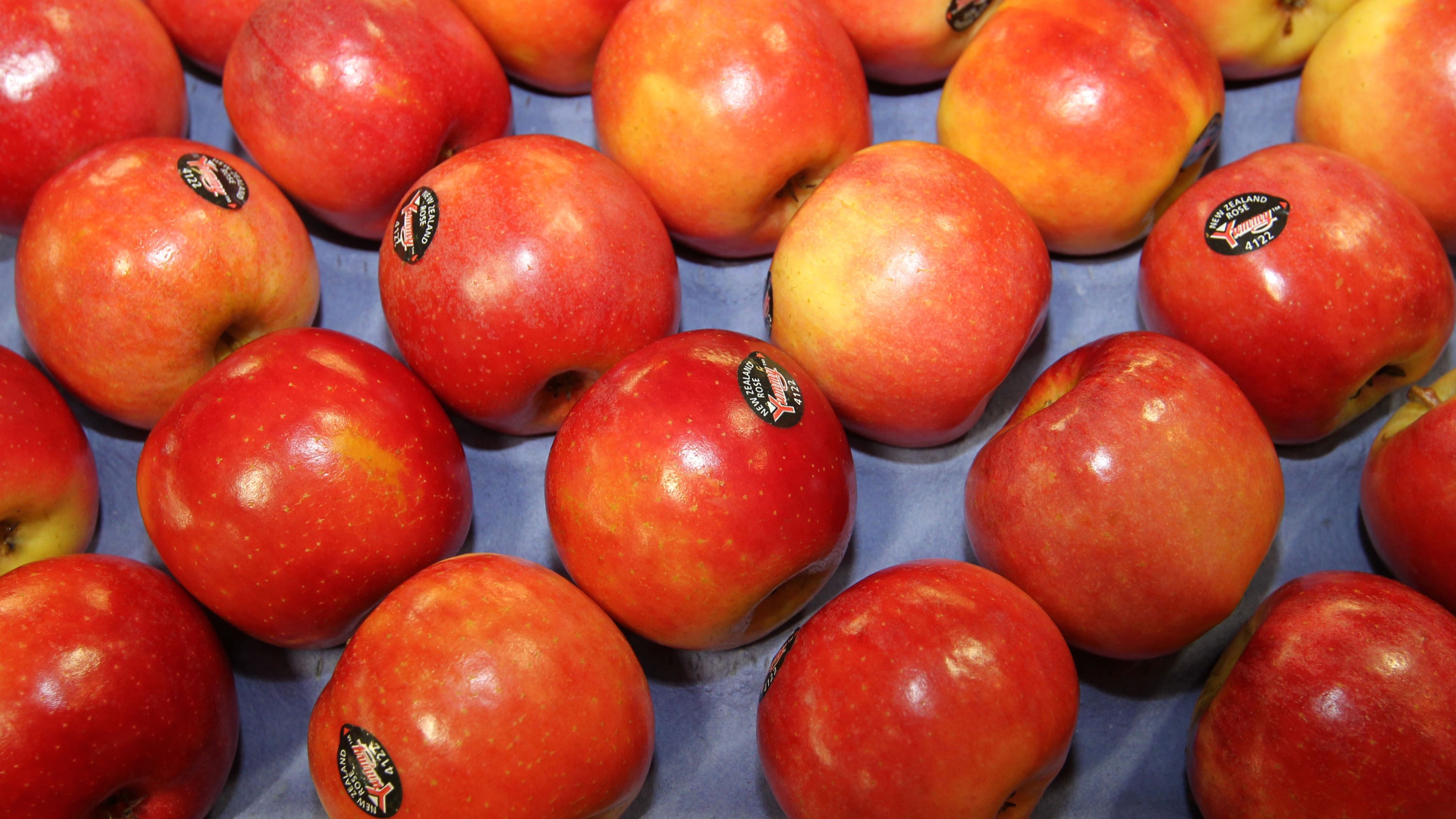 "Not a tough decision": Yummy Fruit cuts US apple exports as tariffs bite into profits