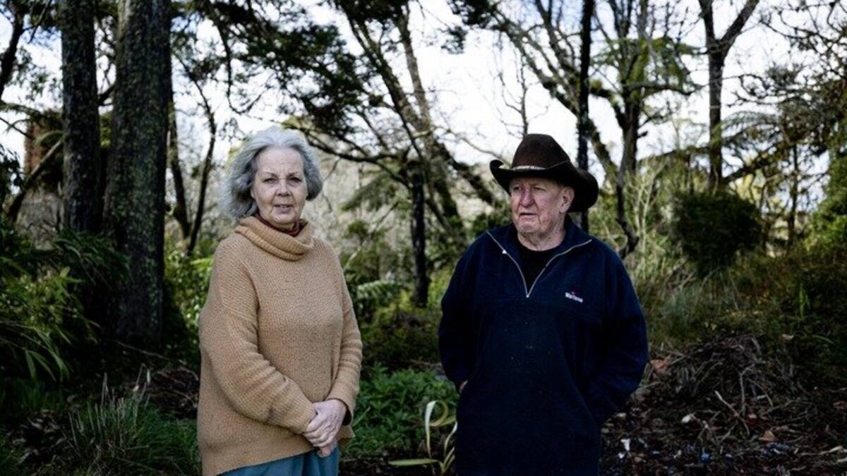 Clive and Sandra Morgan said they employed Tom Phillips' ex-wife on their property less then 12 motnhs ago. Photo / Dean Purcell