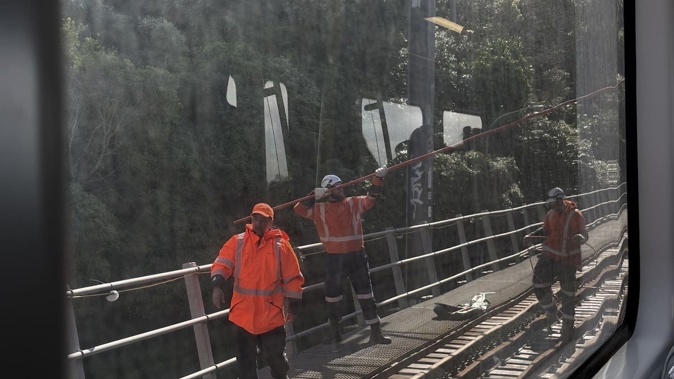 Work is being done to get a train going again after a wire snapped above it on a trip into Wellington.