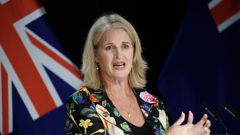 Minister for People with Disabilities Louise Upston. Photo / Mark Mitchell.