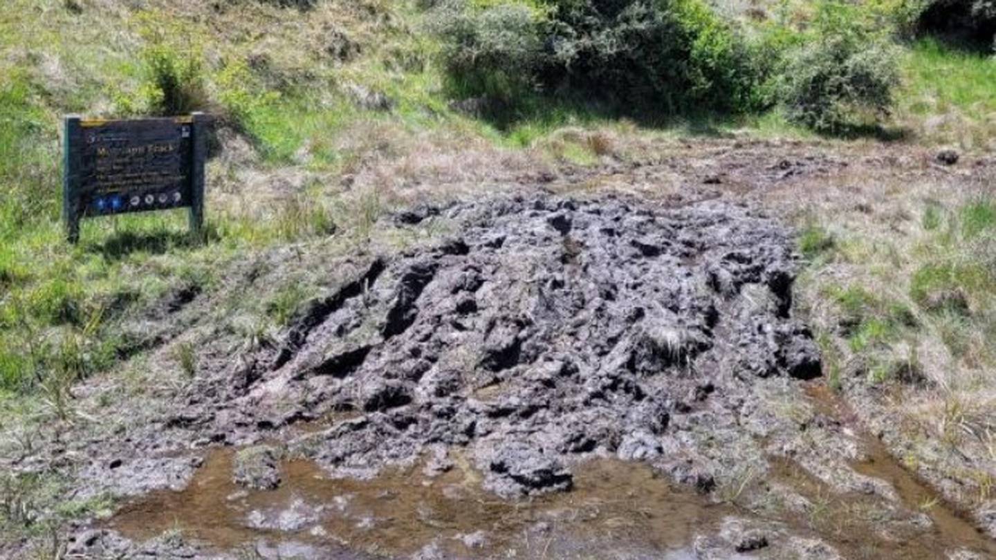 Fragile wetlands at Macetown, near Arrowtown, will take years to recover from recent vandalism, caused by negligent 4WD-ers and off-road motorcyclists. Photo / Jim Croawell
