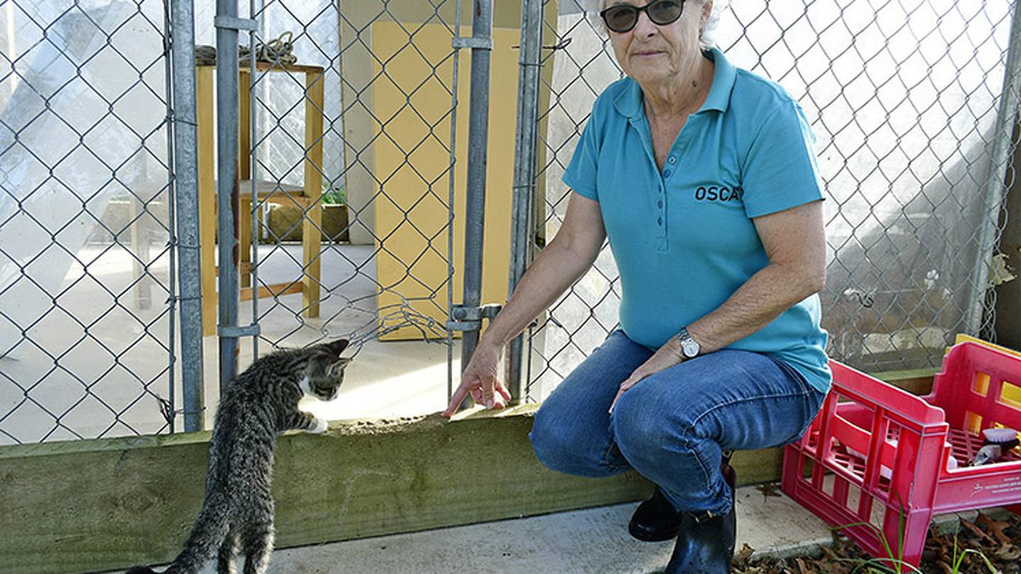 Ōpōtiki Society for the Care of Animals centre manager Kathleen Young. Photo / Sven Carlsson, Ōpōtiki News