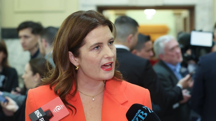 Finance Minister Nicola Willis says she tried to get her proposal for a costings unit across the line. Photo / Mark Mitchell