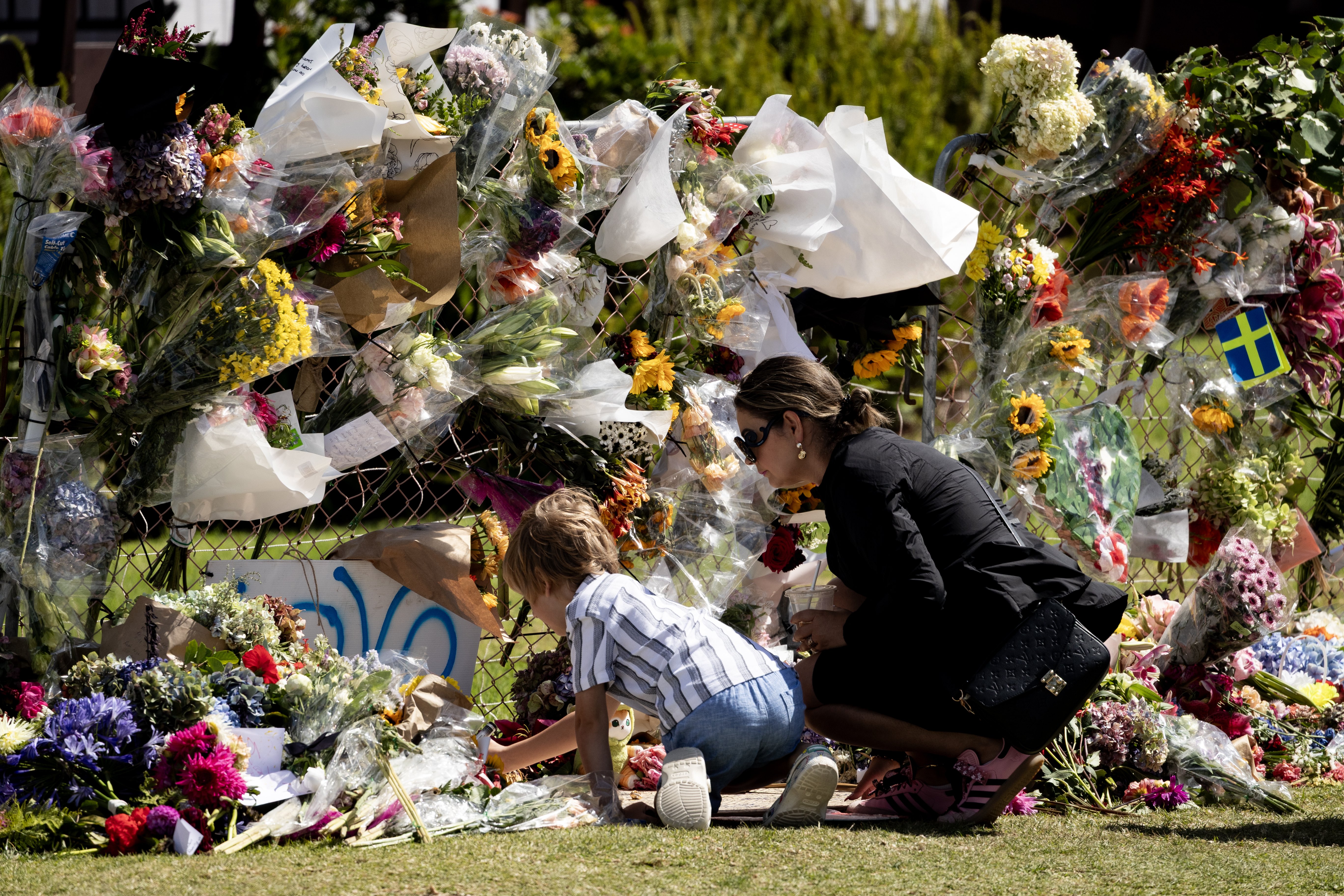 Future of Mauao up for debate as Iwi leaders to meet 