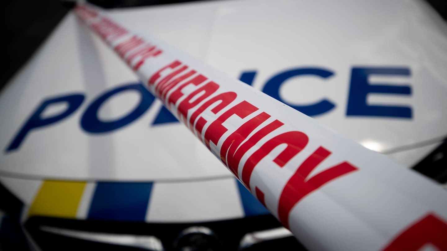 A woman who tampered with the body of a man who lay dead for weeks has been found not guilty by reason of insanity in the Nelson District Court, on a charge of improperly offering an indignity to a human body. Photo / 123RF