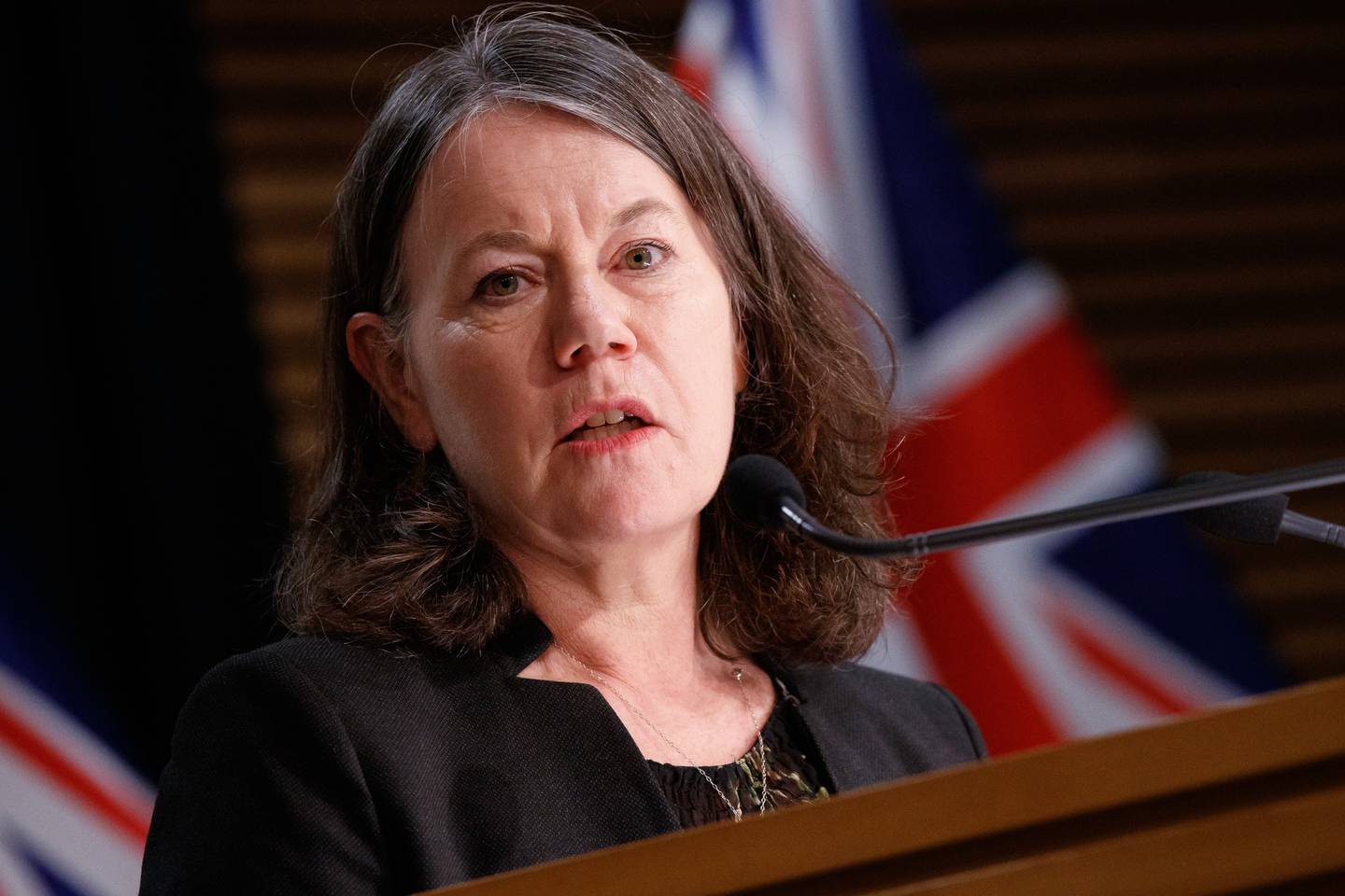 Director of public health Dr Caroline McElnay has urged those with Covid isolating at home to call for medical help immediately once they need it. (Photo / Robert Kitchin)