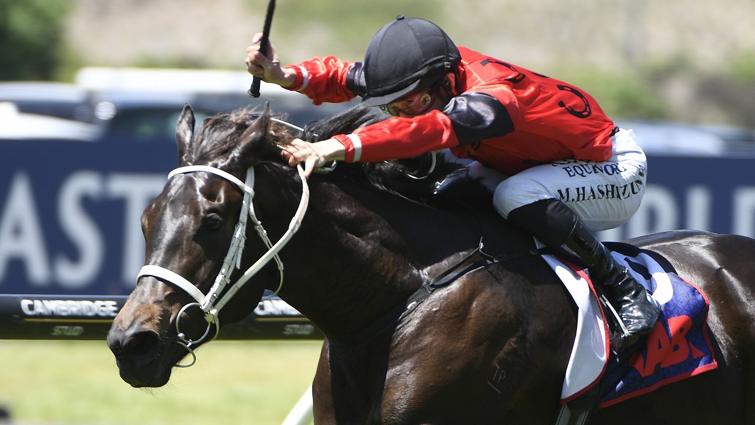 "Ripper of an afternoon": NZ's richest race saddles up in Auckland 