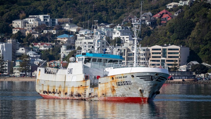 The Viking Bay fishing vessel, which is carrying two mariners infected with Covid-19, arriving in Wellington Harbour. Photo / Mark Mitchell