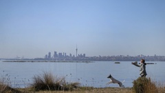 Temperatures in Auckland could drop as low as 6C. Photo / Alex Burton
