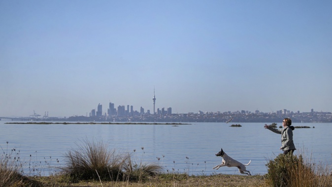 Temperatures in Auckland could drop as low as 6C. Photo / Alex Burton