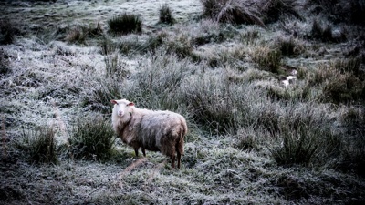 Power warning as chilly blast arrives was a 'trial', snow coming, frosts for Auckland