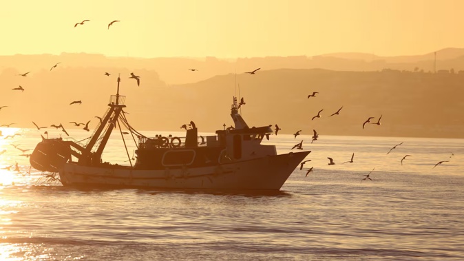 A pair of new studies highlights how gradually rising sea temperatures and marine heatwaves could have big impacts for our multi-billion-dollar commercial fishing industry – even if warming waters brings some benefits in the short-term.