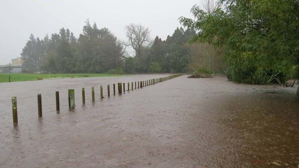 Photo / Trevor Dalton | File