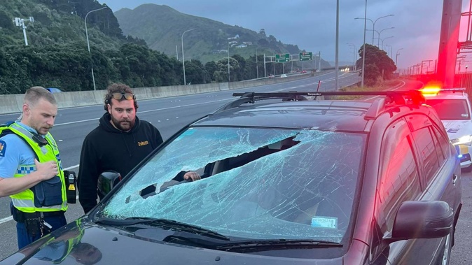 Dermot Frengley was left shocked after a light pole hit the car he was driving on the Wellington Urban Motorway.