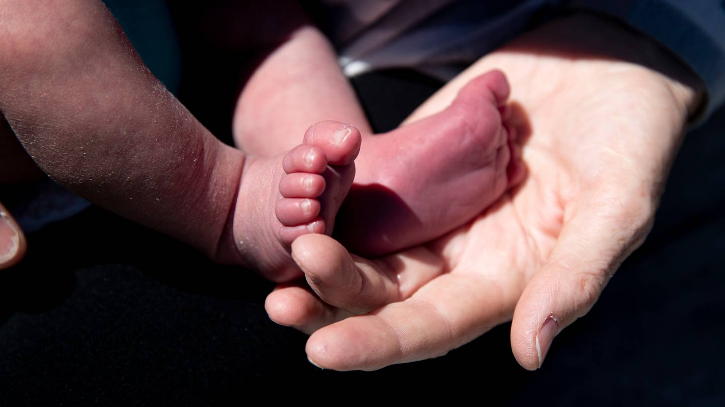 The little boy was born in October last year after the Auckland woman travelled to Georgia for fertility treatment. Photo / Dean Purcell