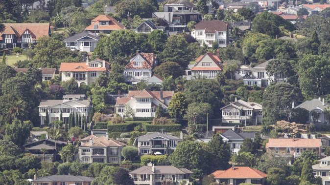 The CVs are a massive source of fascination for property-mad Aucklanders. Photo / Michael Craig
