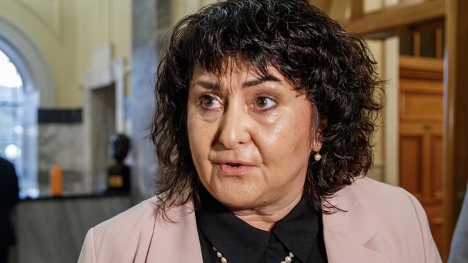 Associate Health Minister Casey Costello faced strong criticism while at an event hosted by Health Coalition Aotearoa. Photo / Mark Mitchell