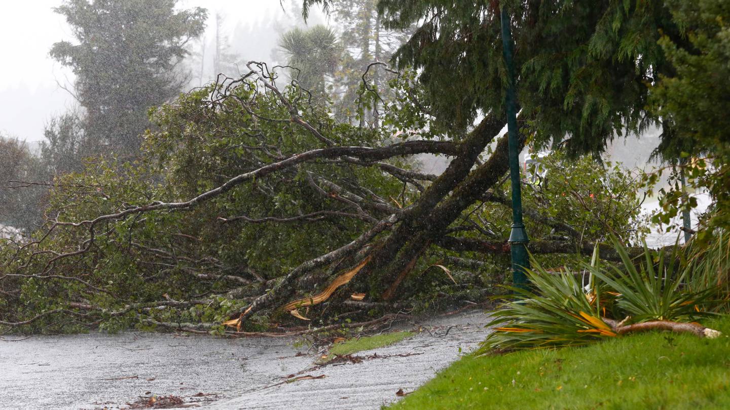 North Island residents are being warned to watch for wild winds across the day, while southern regions prepare for intense rain. Photo / Bevan Conley
