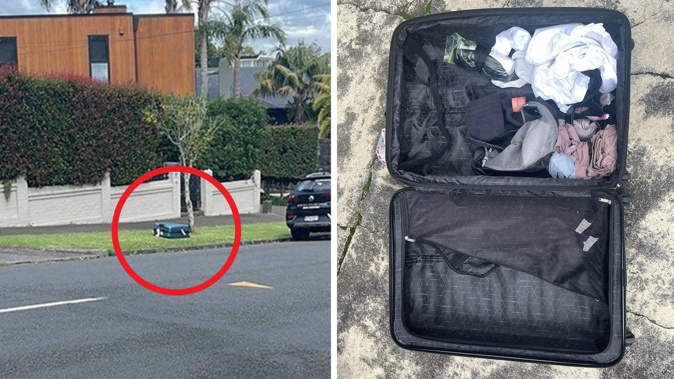 Air nz outlet baggage