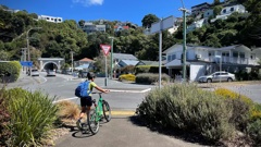 The incident was at the intersection of Tio Tio Rd and Ferry St in Seatoun.