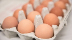 Eggs have been in short supply - and expensive - since the start of the year. Photo / RNZ / Cole Eastham-Farrelly