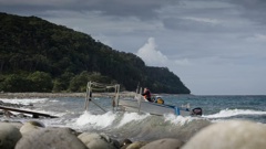 Little Barrier Island. Photo / Greg Bowker