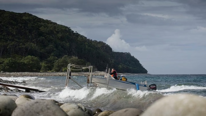 Little Barrier Island. Photo / Greg Bowker