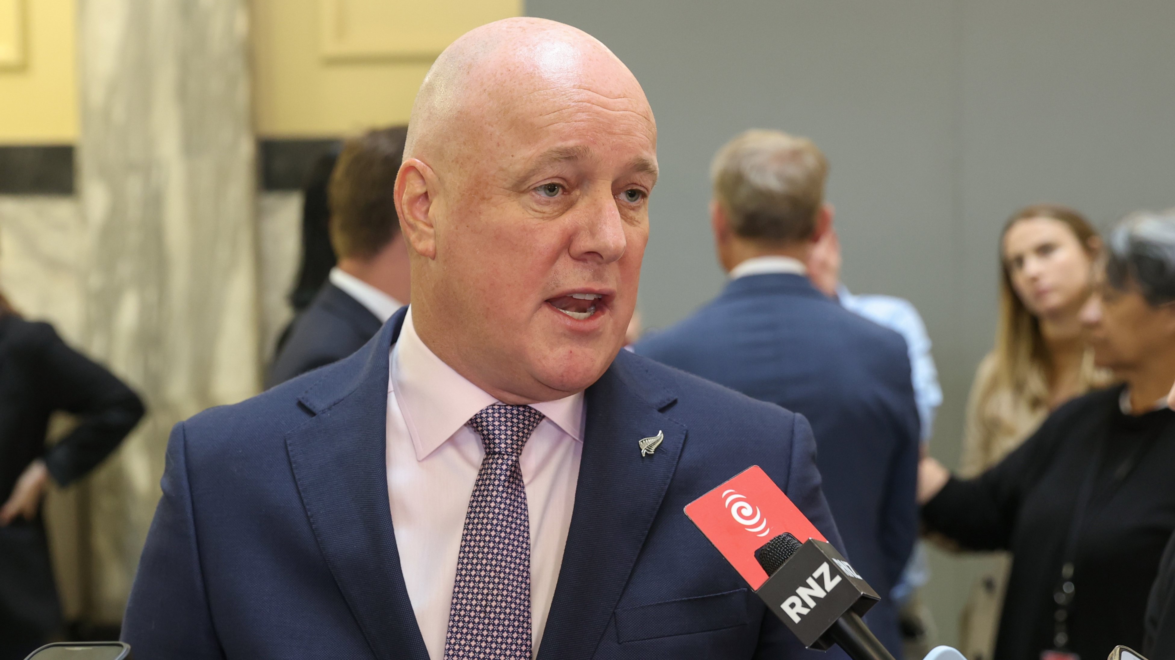 Photo / Mark Mitchell