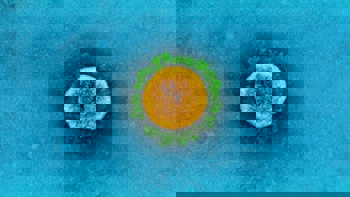 Covid-19: What to know about the new Omicron subvariant BN.1