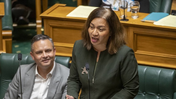 Green Party co-leader Marama Davidson was ejected from the House today after objecting to the Act Party's line of questioning. Photo / Mark Mitchell