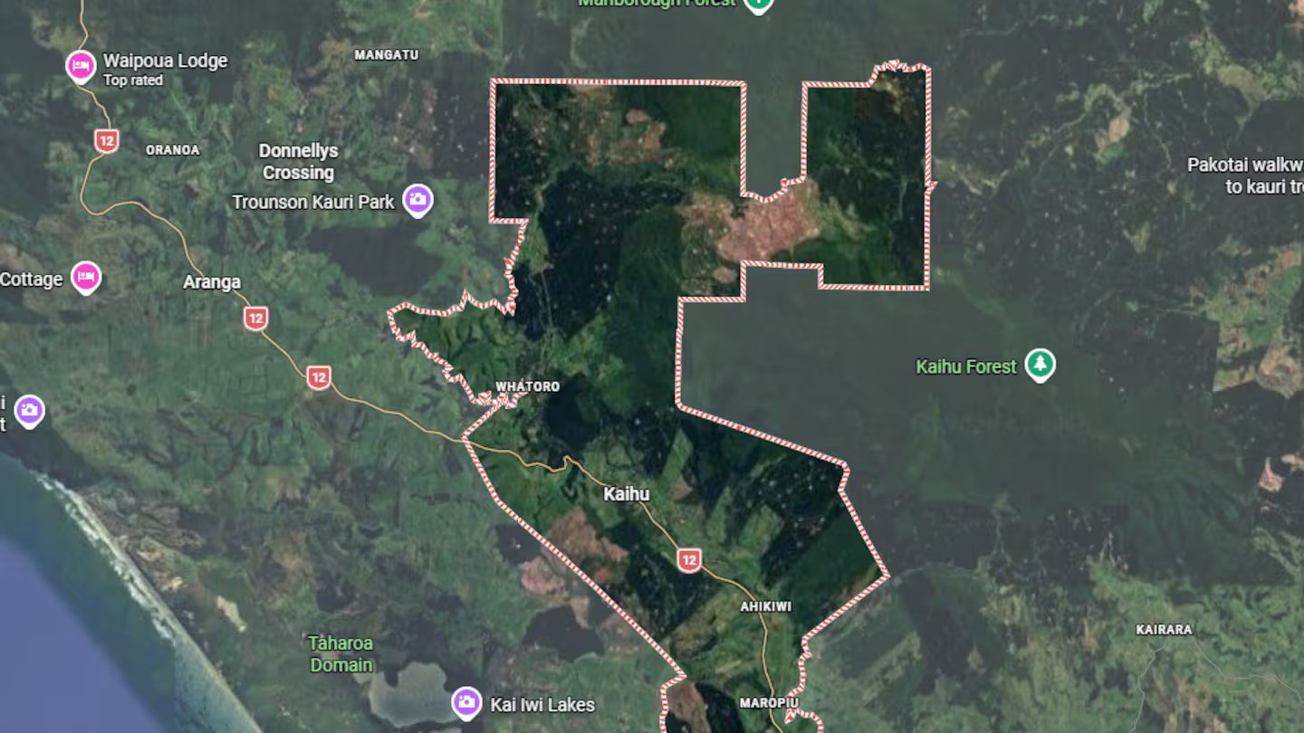 Person mauled to death by dogs at Northland home