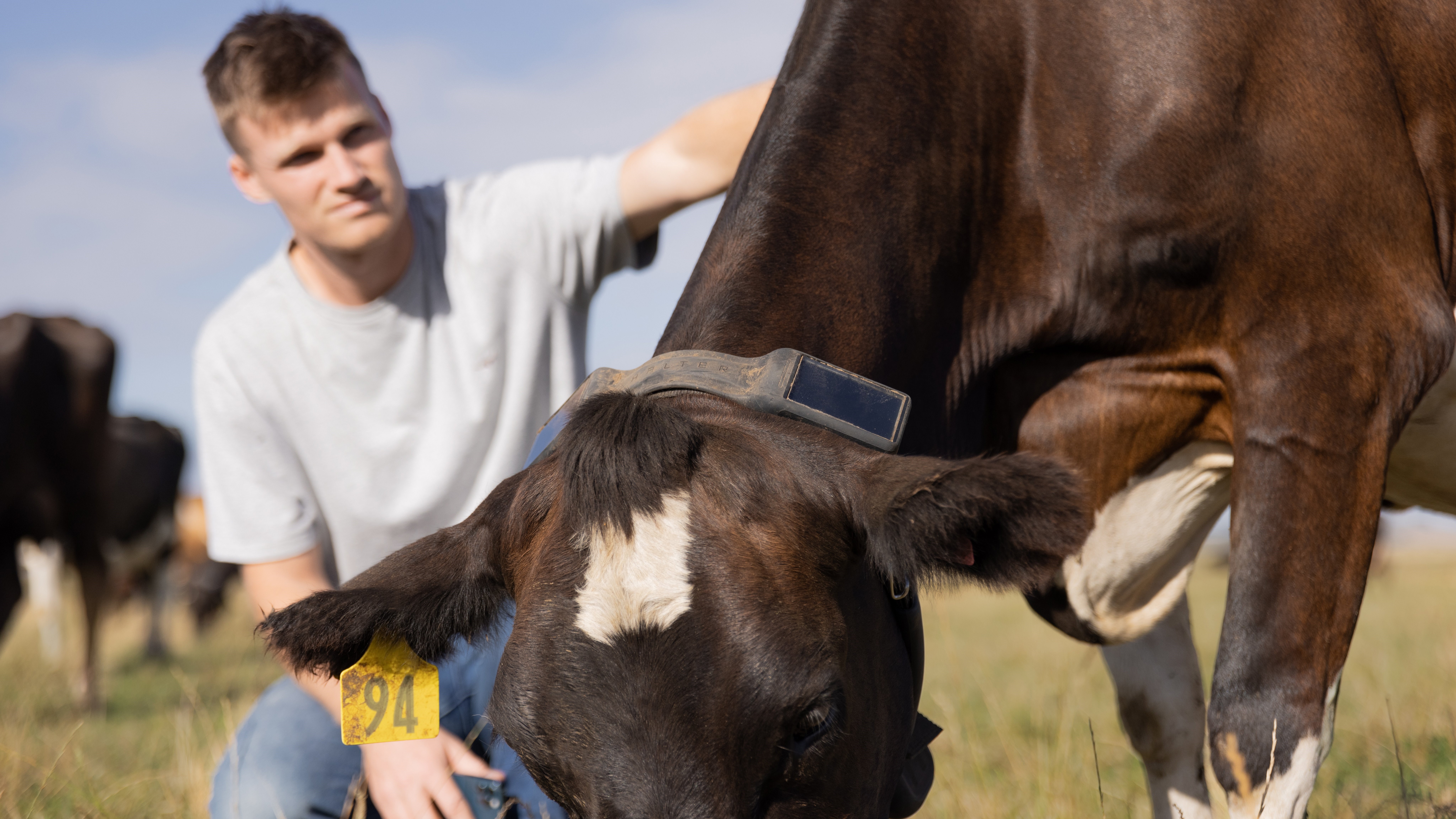 "A lot of capital out there": Cattle 'smart collar' company secures $370m in funding, plans expansion 