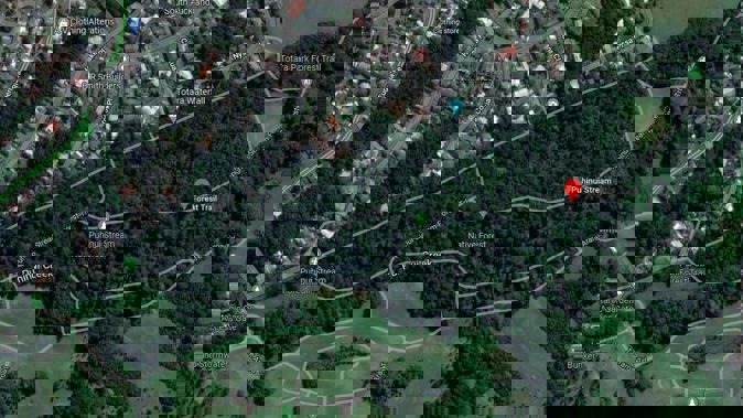 A woman was walking the Puhinui Forrest Trail, which runs from Tōtara Park in South Auckland, when she was sexually assaulted. Photo / Google