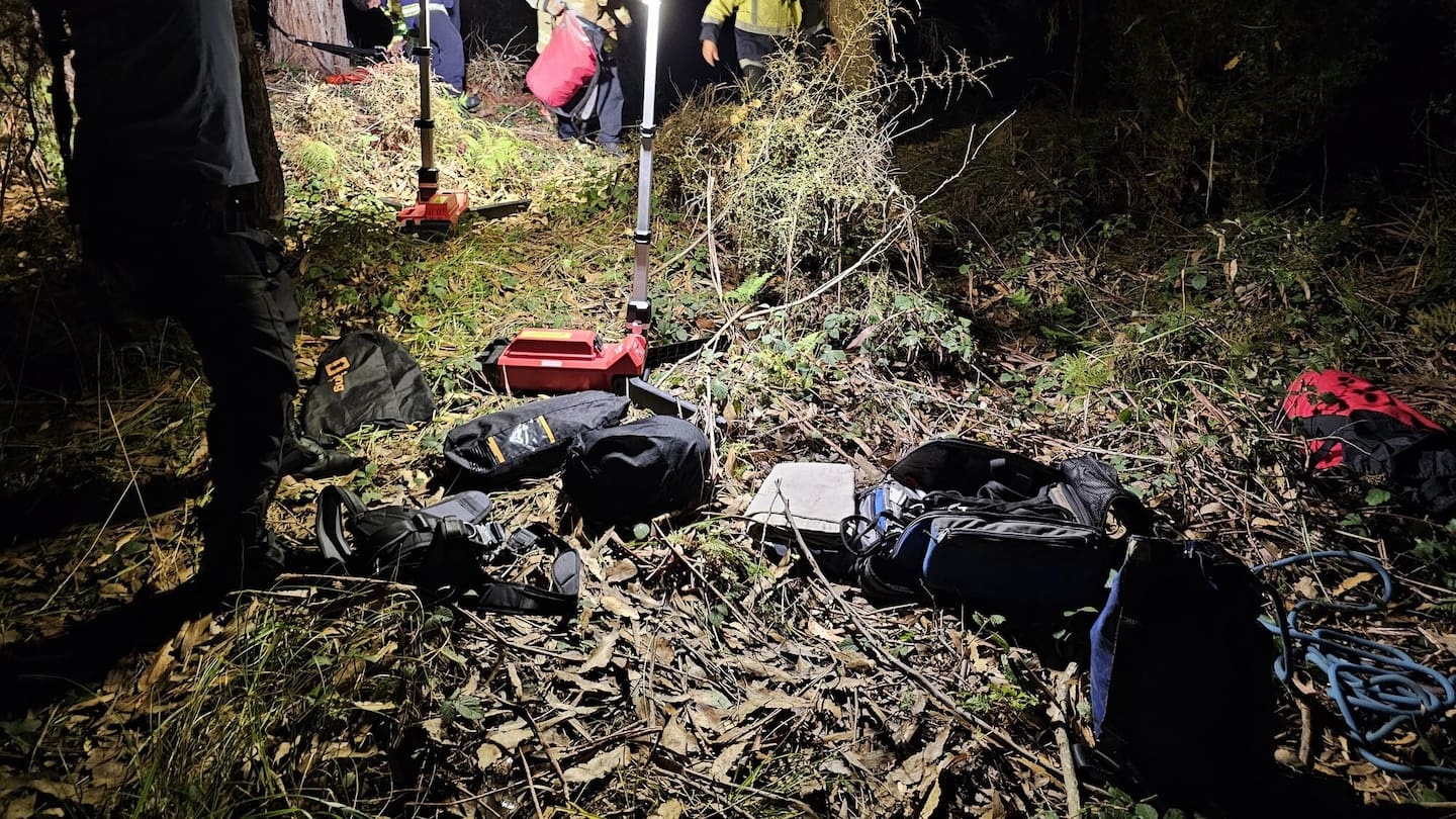 Firefighters rescue dogs after 30m cliff fall