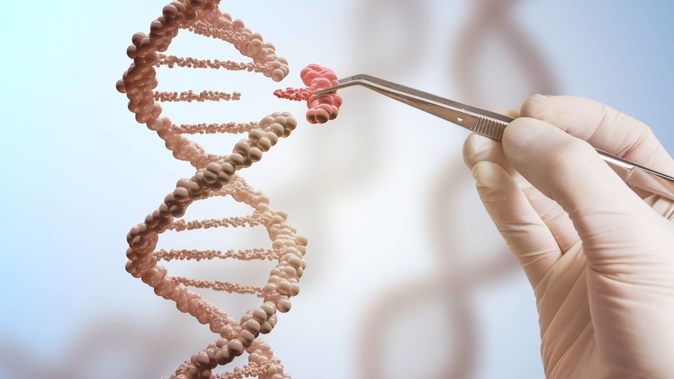 A new move to tweak rules around genetically modified organisms has been welcomed as a “first step” by the country’s top scientist, who hopes to see further reform in the tightly regulated space. Photo / 123rf